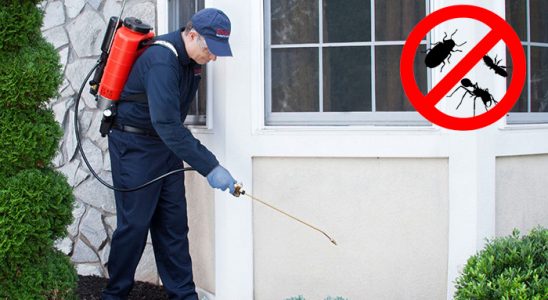 Kapaklı Pire İlaçlama böcek ilaçlama ve haşere kontrolü — ilaclama-tr.com